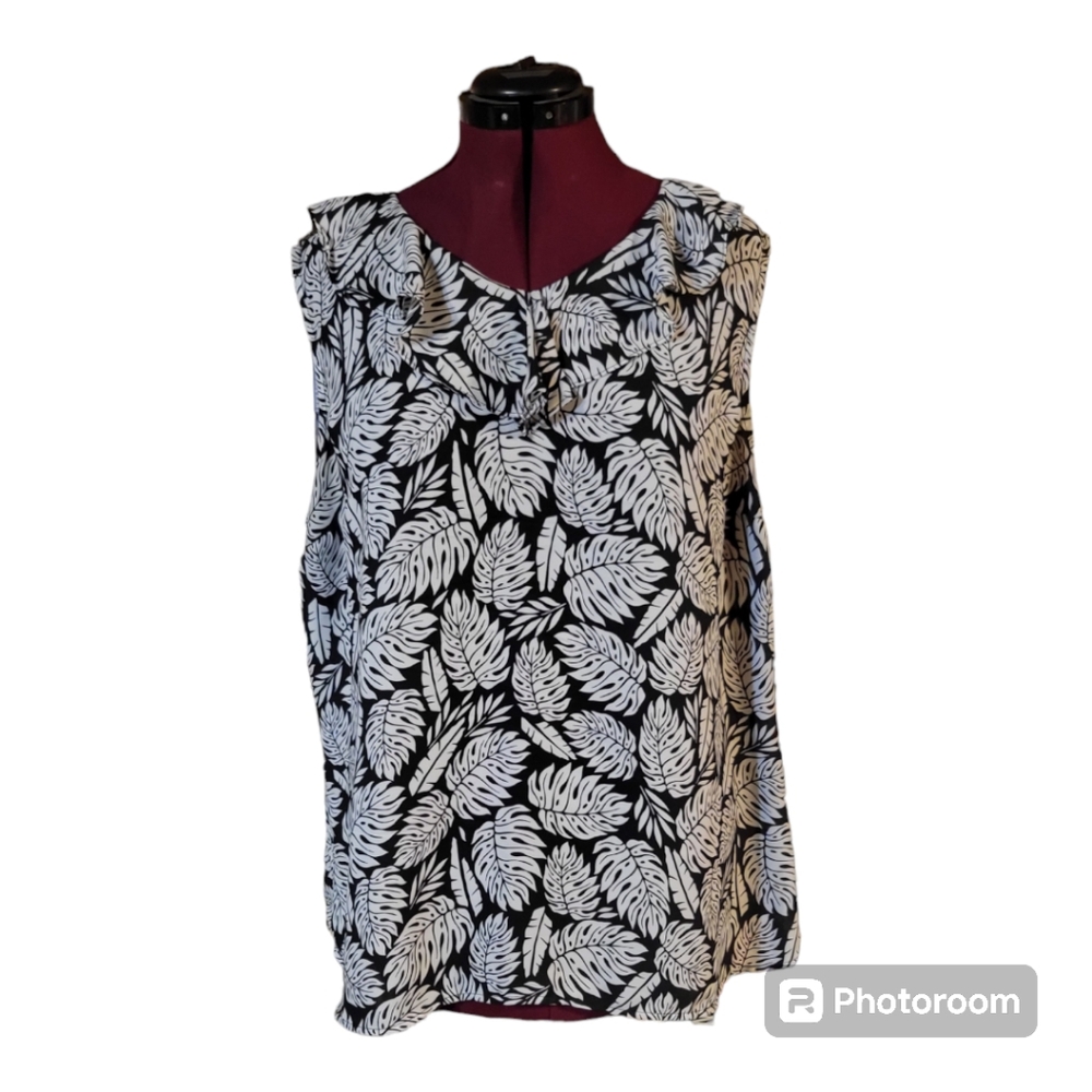 ✨️$3 or 2 for $5✨️Terra & Sky sleeveless blouse
